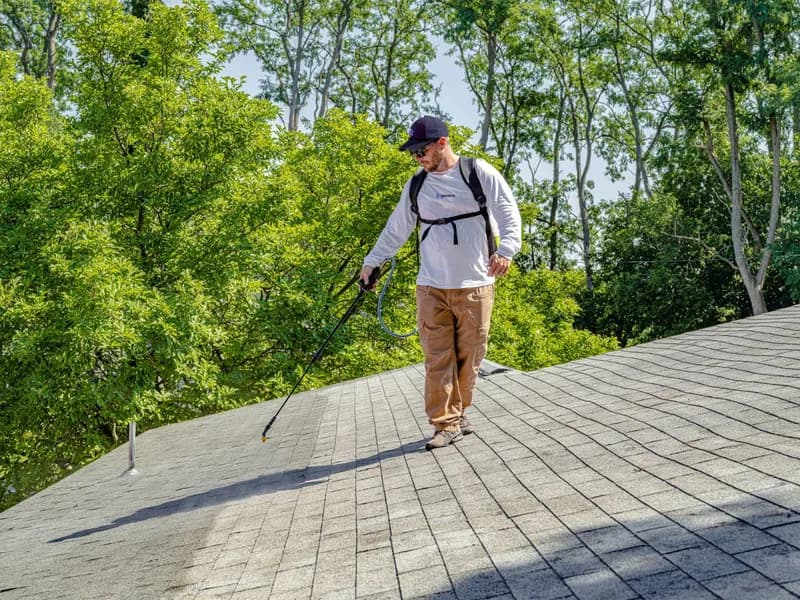 An applicator with a backpack sprayer treating an asphalt shingle roof